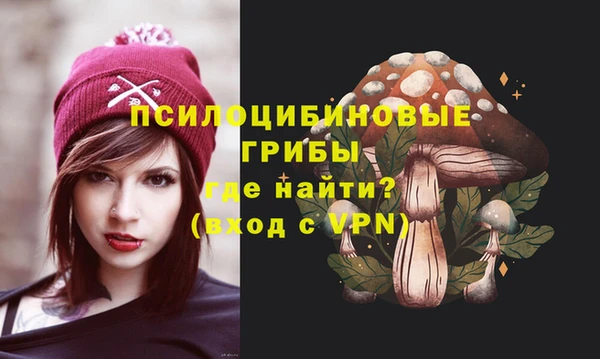 МДПВ Кулебаки