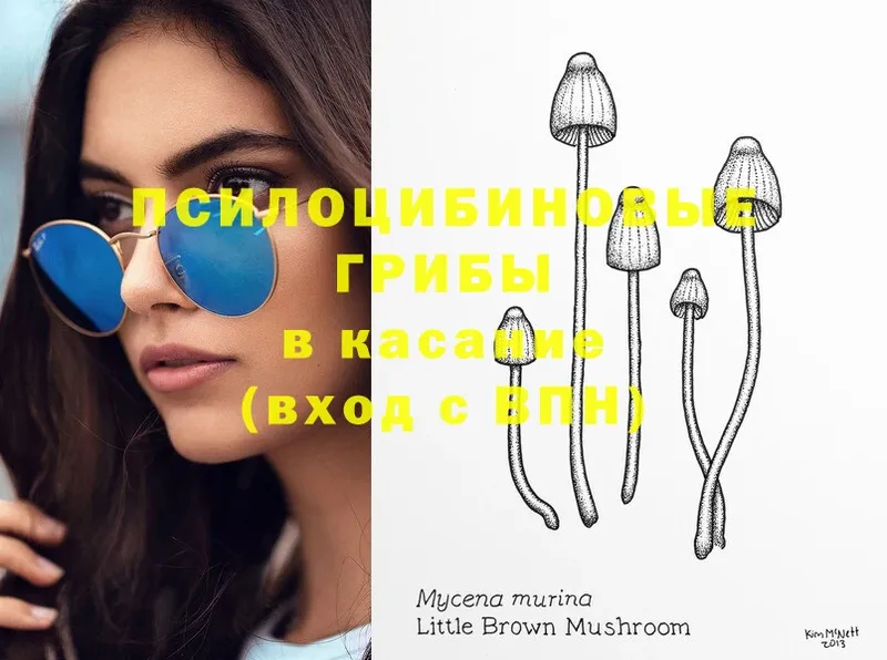 Псилоцибиновые грибы Magic Shrooms  Раменское 