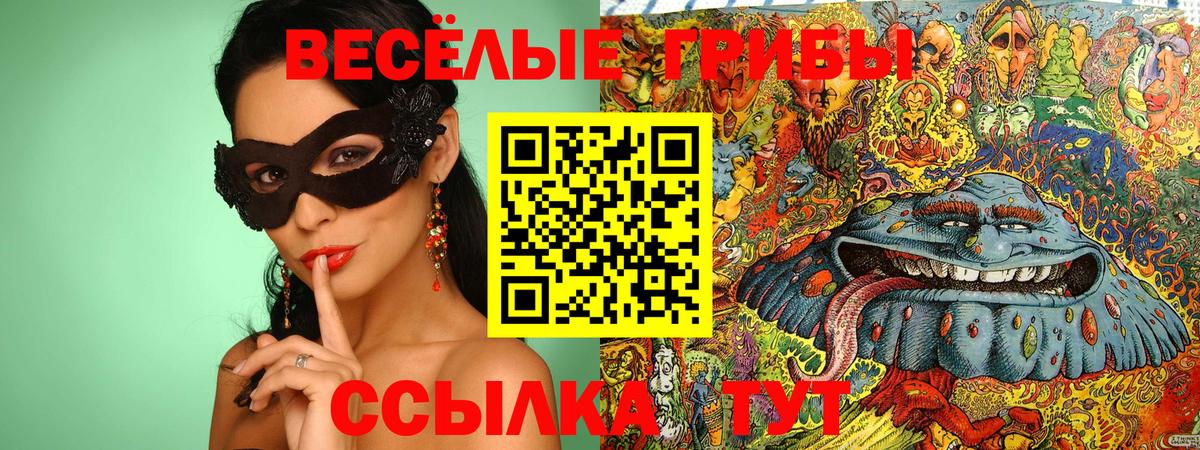 Галлюциногенные грибы GOLDEN TEACHER  Вход с VPN  Раменское 